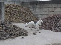 SAM_0089