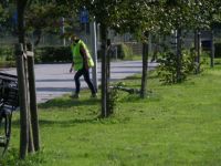 SAM_0038