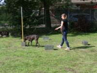 SAM_0102