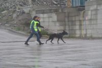 SAM_0109